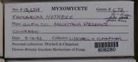 Image Associated With the Occurence